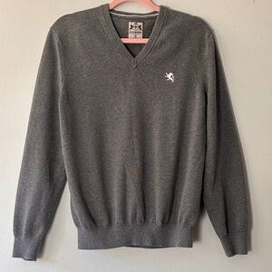 Express Men's Sweater Nice Slate Gray Color V-Neck in Size Larte
